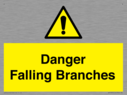 danger-falling-branches~